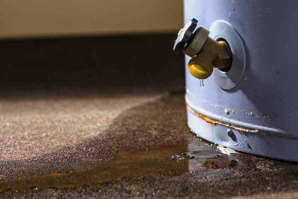 Best Commercial water damage restoration  in Kearns, UT