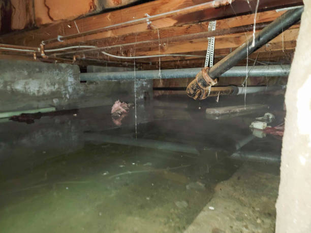 Best Local water damage restoration  in Kearns, UT