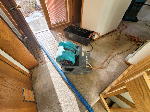Best Water damage cleanup near me  in Kearns, UT