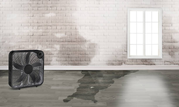 Best Flood restoration services  in Kearns, UT