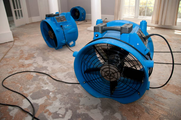 Best Water damage contractors near me  in Kearns, UT