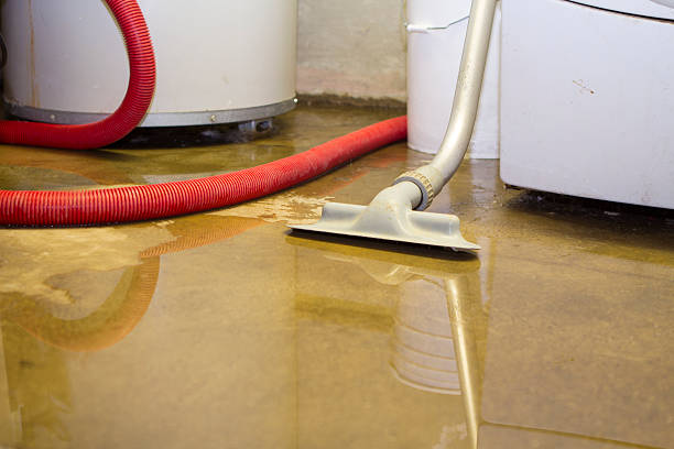  Kearns, UT Water damage restoration Pros