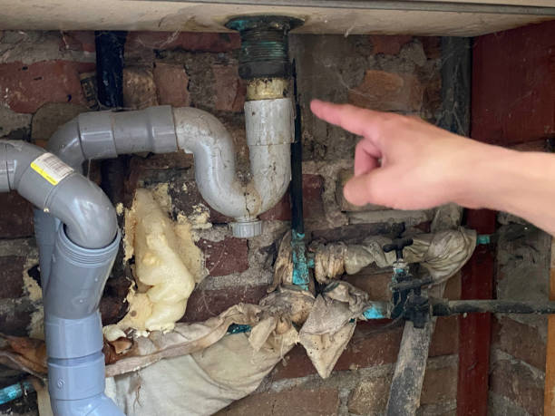 Best Mold removal after water damage  in Kearns, UT