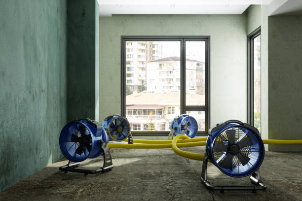 Best Ceiling water damage repair  in Kearns, UT