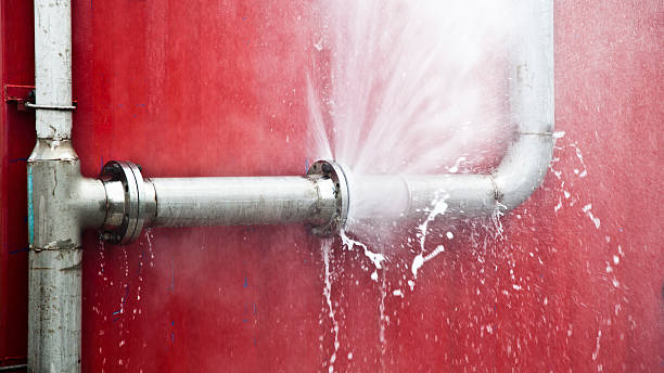 Best Carpet water damage restoration  in Kearns, UT