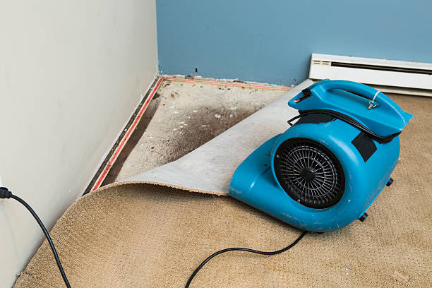 Best Fire Damage Restoration  in Kearns, UT